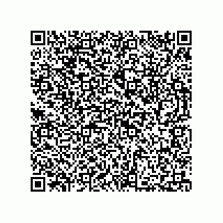 vCard 73812213871