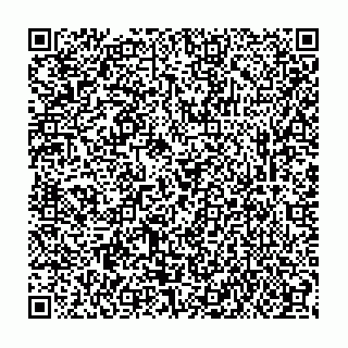 vCard 73812213902