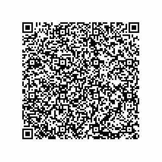 vCard 73812213919