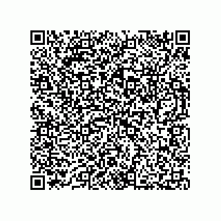 vCard 73812215383