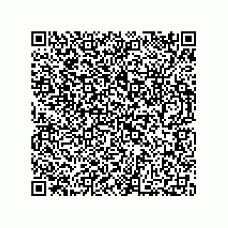 vCard 73812215384