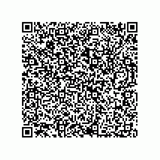 vCard 73812219968