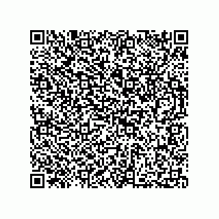 vCard 73812272010
