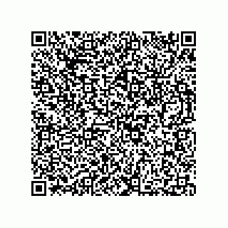 vCard 73812287360