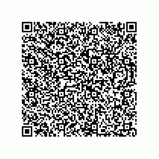 vCard 73812292203