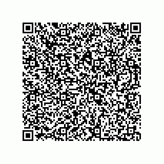vCard 73812293760