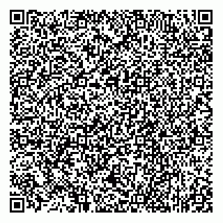 vCard 73812293810
