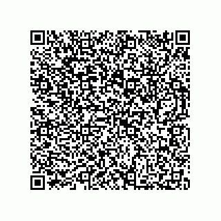 vCard 73812293834