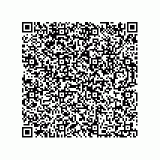 vCard 73812293839