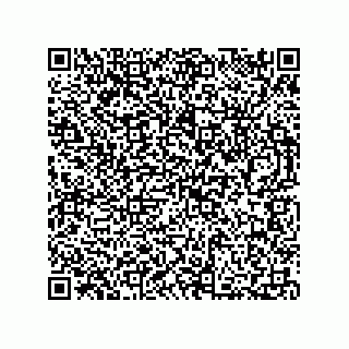 vCard 73812293843