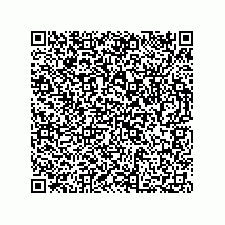 vCard 73812293847