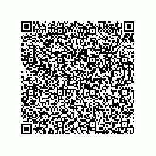 vCard 73812293855