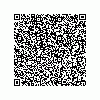 vCard 73812293871