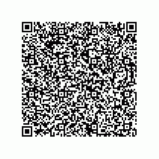 vCard 73812293878