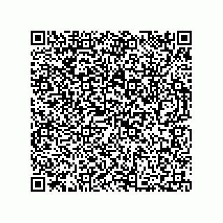 vCard 73812293879