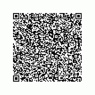 vCard 73812293885
