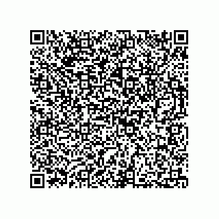 vCard 73812293931