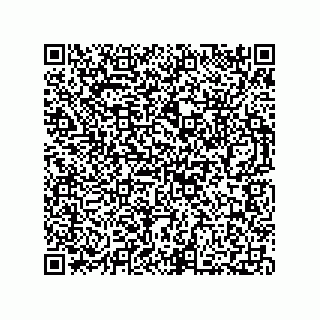 vCard 73812293952