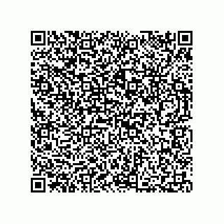 vCard 73812294003
