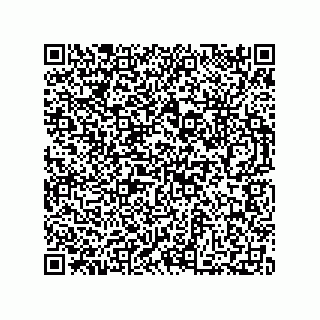 vCard 73812294004