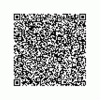 vCard 73812294115