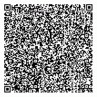 vCard 73812294119