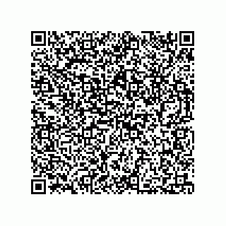 vCard 73812340011