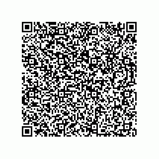 vCard 73812340288