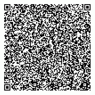 vCard 73812340306