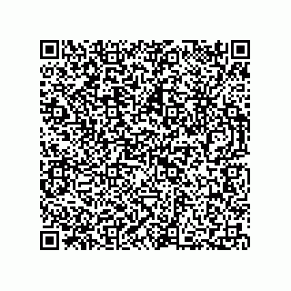 vCard 73812340313