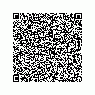 vCard 73812353162