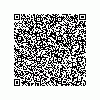 vCard 73812353176