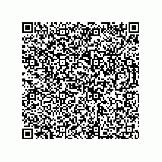 vCard 73812353287
