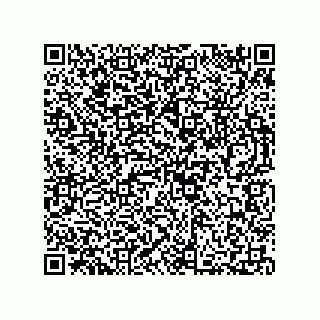 vCard 73812353313