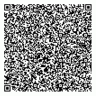 vCard 73812353331