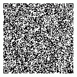 vCard 73812353333
