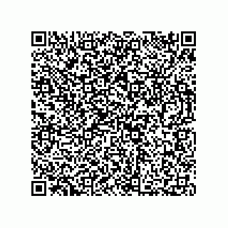 vCard 73812353387