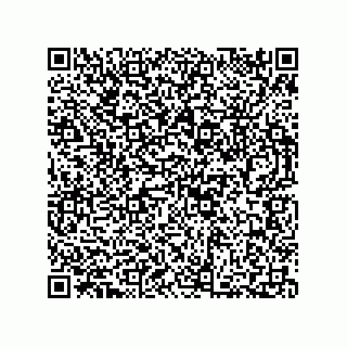 vCard 73812353390