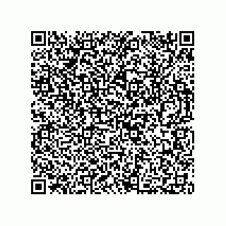 vCard 73812359738