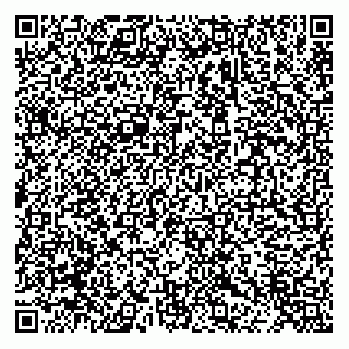 vCard 73812381299