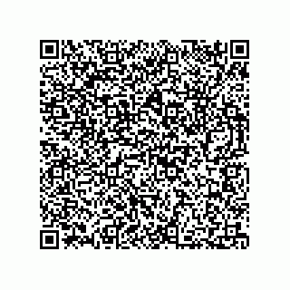 vCard 73812391311