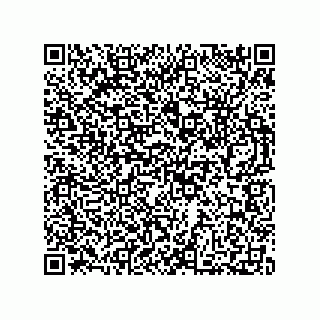 vCard 73812391384
