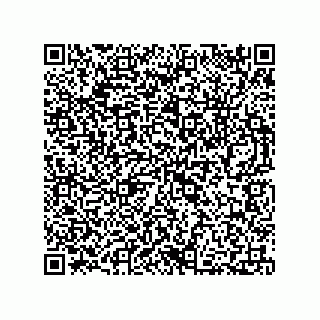 vCard 73812395729