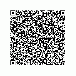 vCard 73812395731