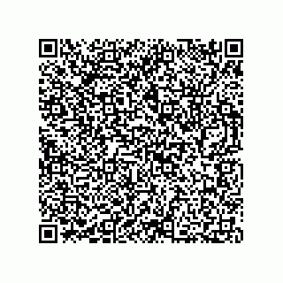 vCard 73812395807
