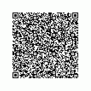vCard 73812395821
