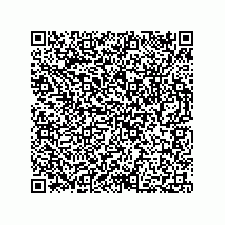 vCard 73812395919