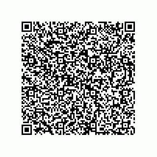 vCard 73812396287