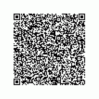 vCard 73812396303