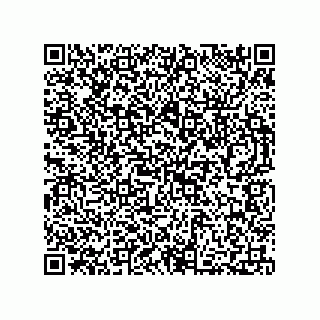 vCard 73812397009